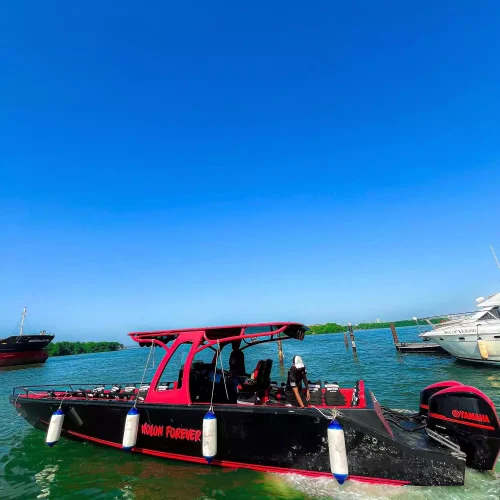 Cholon Forever (27)