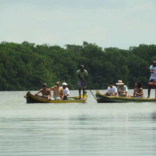 Mangrove-3.jpg