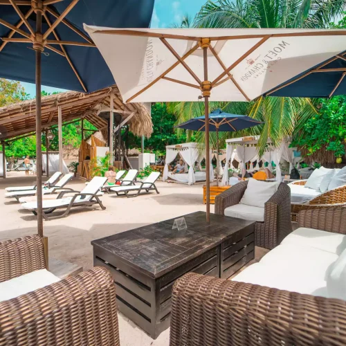 ZONA COMUN AREA CLUB ASOLEADORAS