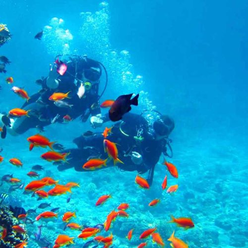 buceo (2)