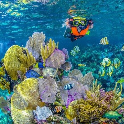 buceo (3)