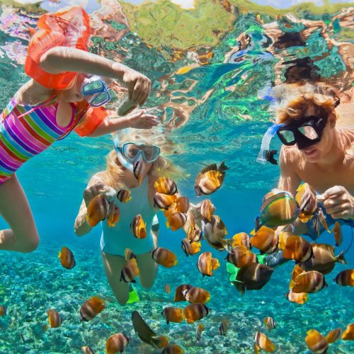 buceo (6)