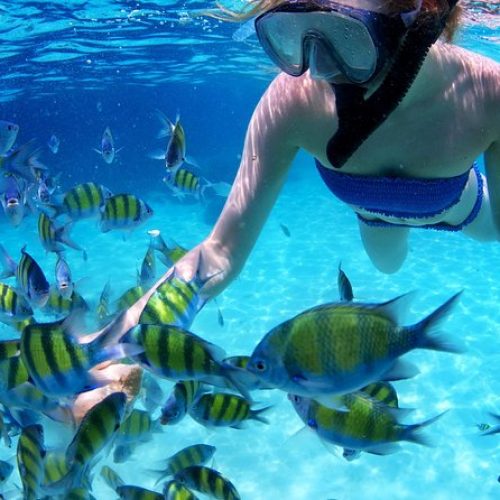 buceo (7)